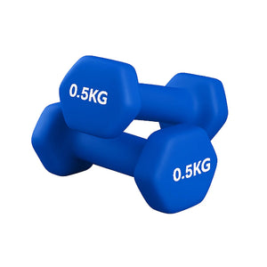 Pair of blue dumbbells with '0.5KG' marking on a white background