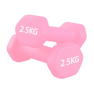 Pair of pink dumbbells with '2.5KG' marking on a white background