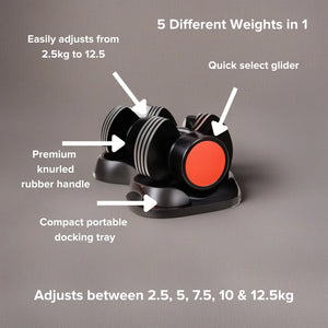 Pair of dumbbells with features highlighted on a gray background