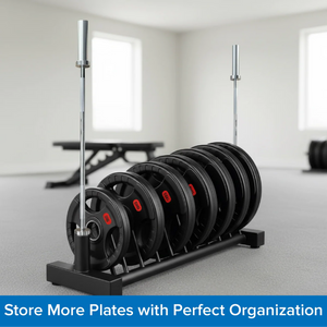 Weight plate storage system with weight plates on a stand in a gym setting
