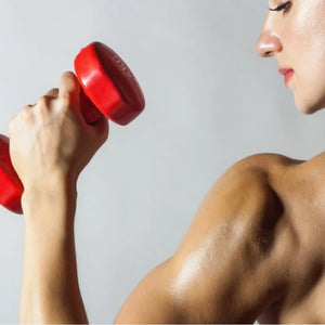 Set of colorful dumbbells with weight markings on a white background